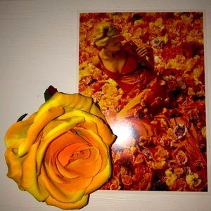 ISO Taylor Swift Our Song Flower and Card